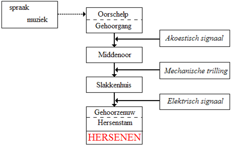 schema1